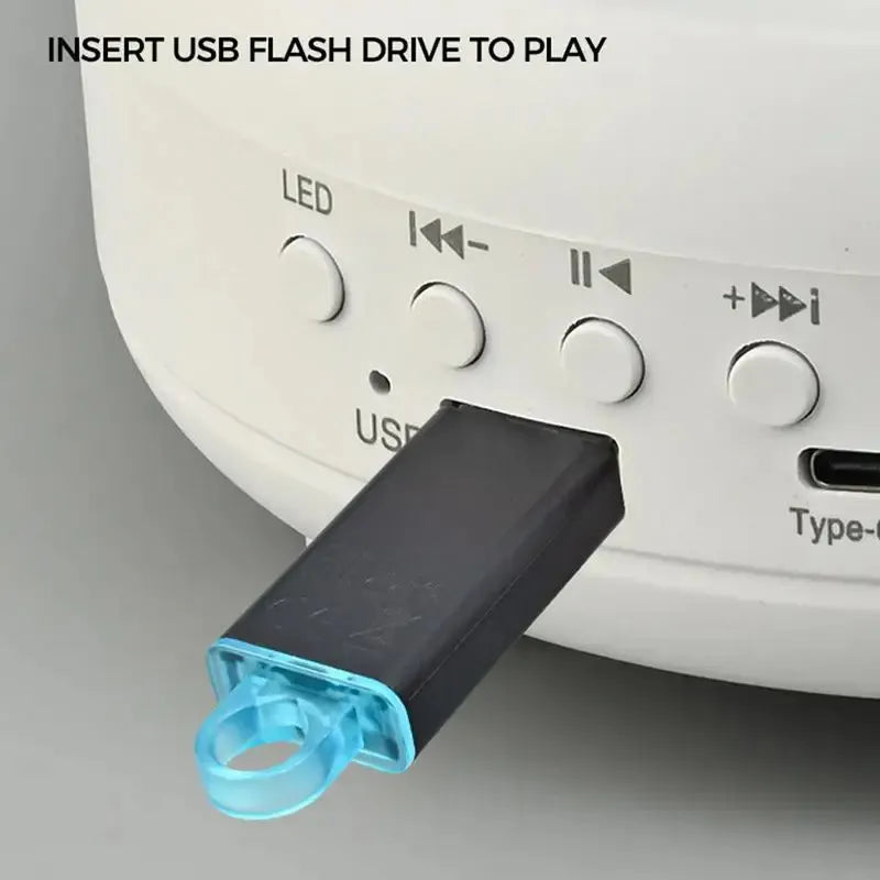 Projecteur Celeste LED